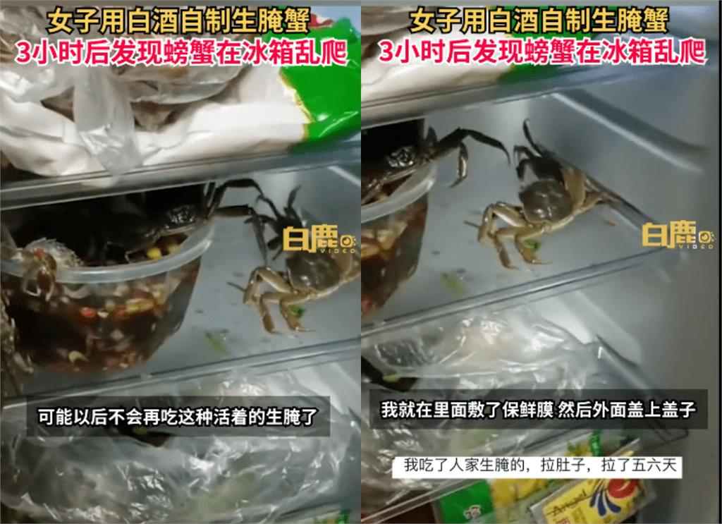 做「醉醃生蟹」出大事！開冰箱驚見螃蟹「集體越獄」揮鉗狂歡她看傻