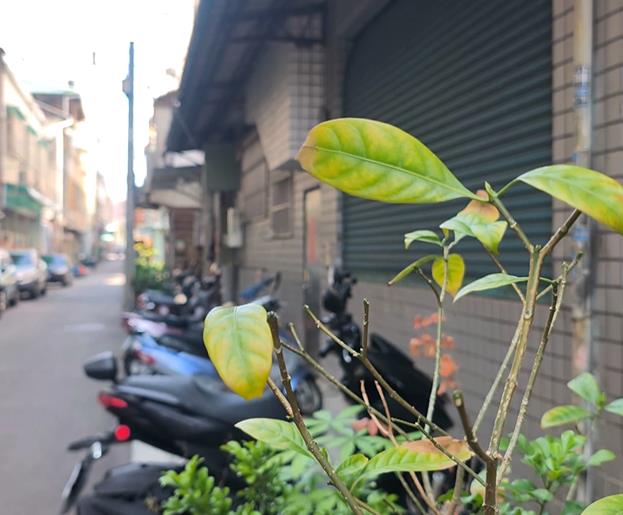 台中婦浴室跌破頭慘死 「脖驚見詭異勒痕」警揭真相