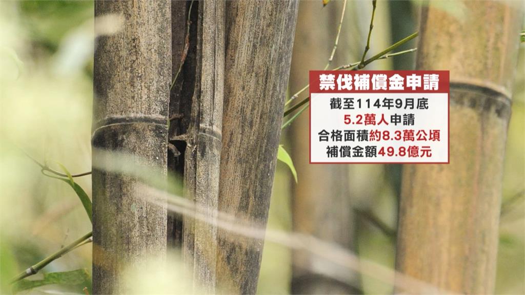 原住民生計有著落 禁伐補償金已撥地方政府將入帳