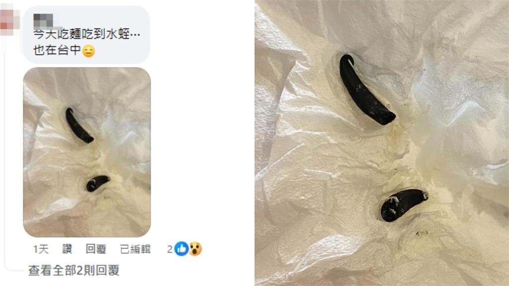 喝完麻油雞驚見「整條馬陸」被煮熟！釣出她再爆「吃麵咬到水蛭」：都在同縣市