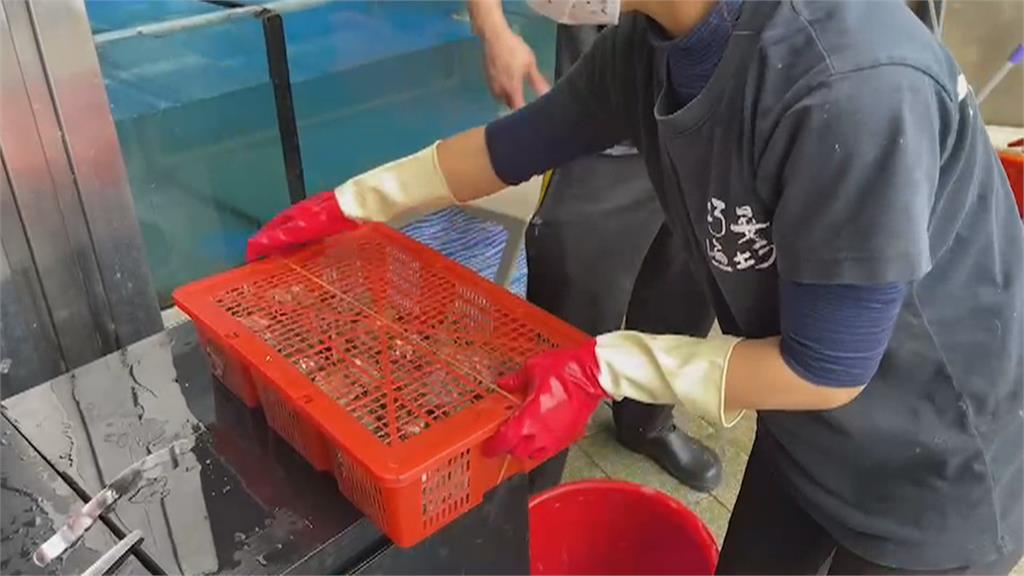 停電怕缺氧! 海產店撈萬里蟹、蝦子泡海水保命