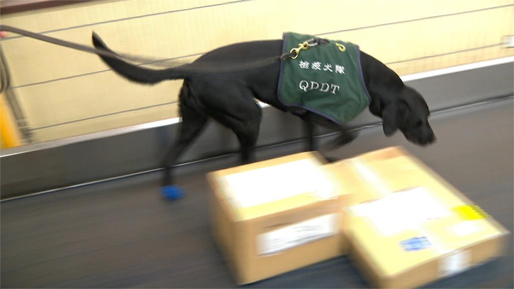 「境外電商寄肉製品」恐淪防疫破口 淘寶發聲明祭管制措施