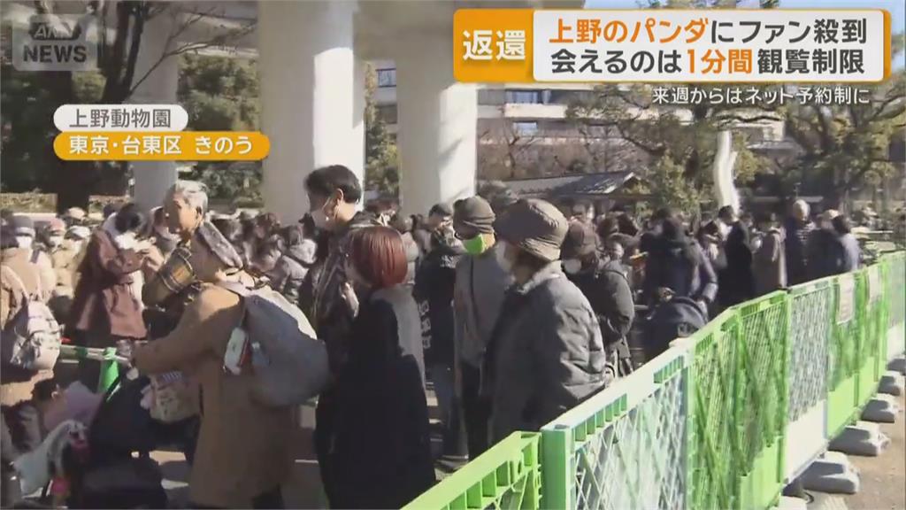日本上野貓熊將清零！　遊客「排隊4小時只能看1分鐘」