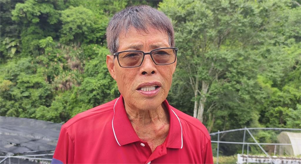 驚天巨響「四層樓高」山壁崩塌　草莓園主人憂成堰塞湖