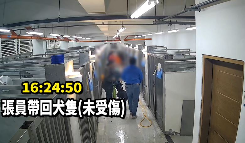 虐狗?寵物銀行爆不當飼養 高壓水柱打掃釀狗狗脫逃