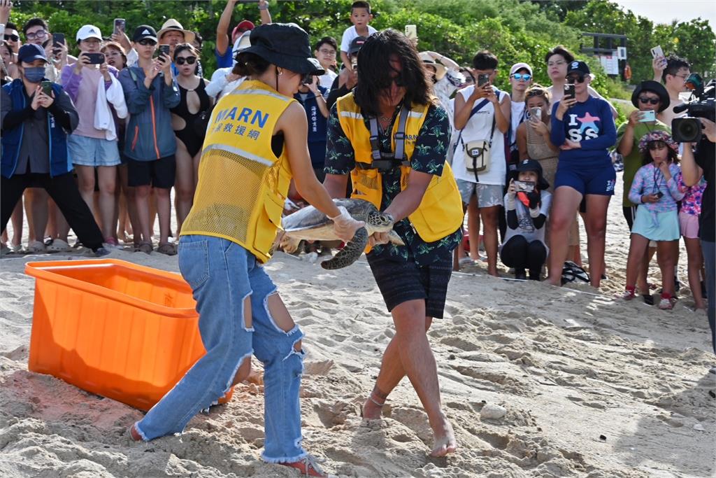 快新聞／行政院副院長鄭麗君今赴小琉球放生海龜　盼全民重視海洋保育