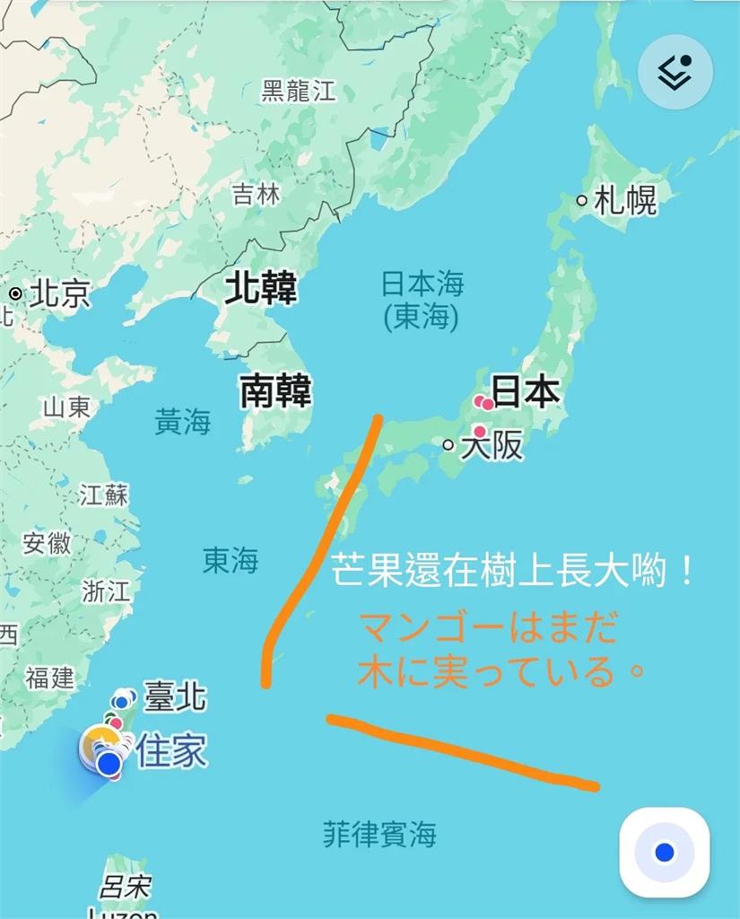 台日瘋「地圖砲聊天」日網友問芒果產季　友好互動吸萬人按讚朝聖