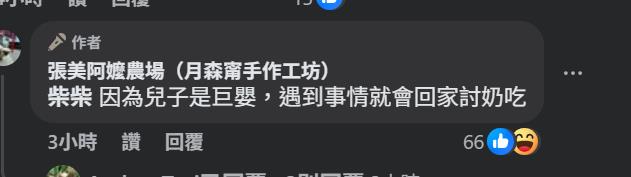 快新聞／張美阿嬤兒空投毒藥毒死動物　阿嬤：兒子是巨嬰
