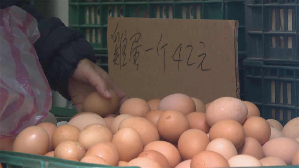 天冷產量減、飼料運輸成本增　最便宜白散蛋也漲五成
