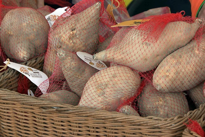 別以為吃素一定會瘦！營養師點名素食「7大地雷」：容易越吃越胖