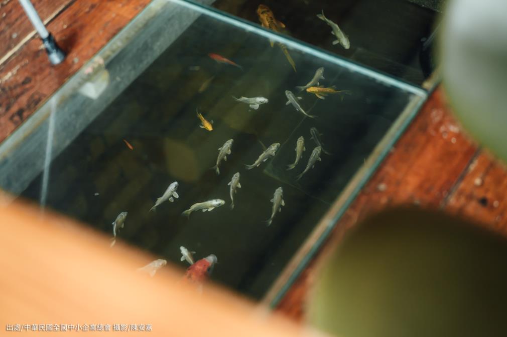 嘉義縣借問站再升級！14處服務據點邀旅客打卡、留言拿好禮