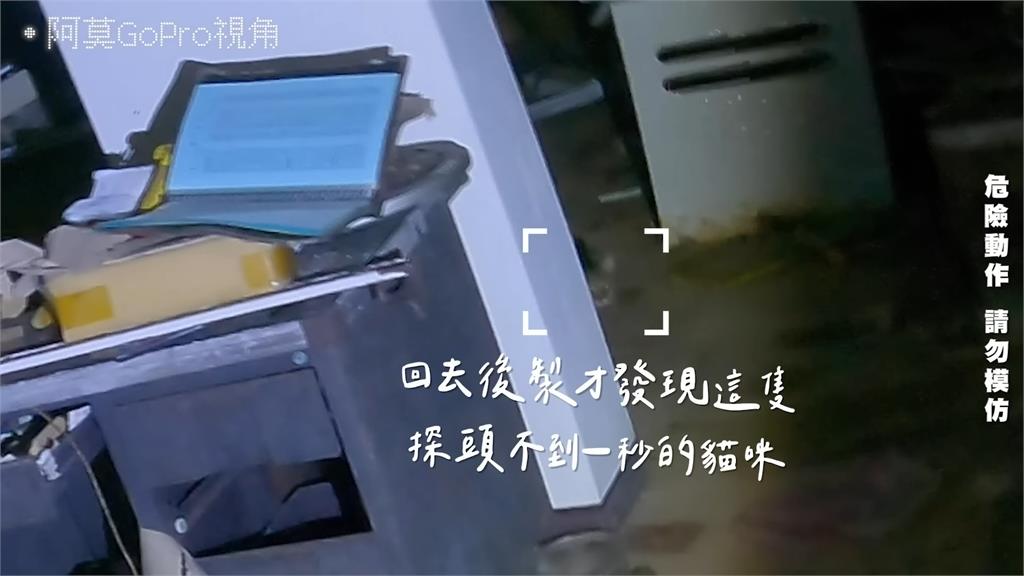谷阿莫夜訪廢棄大樓!見詭異貓咪探頭 攝影畫面曝光網嚇慘:鬼都不住