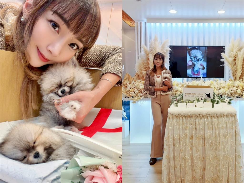 愛犬不幸夭折！告別式照片遭網轟「太假」　李宓反擊：大哭拍上網才算愛？