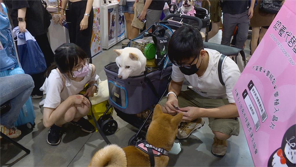 台北寵物展開幕! 新奇商品顧毛孩健康也紓壓