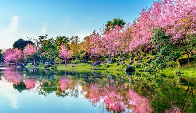 2026「驚蟄」撞上天赦日!命理師揭「打小人8步驟」示警4生肖:慎防血光之災