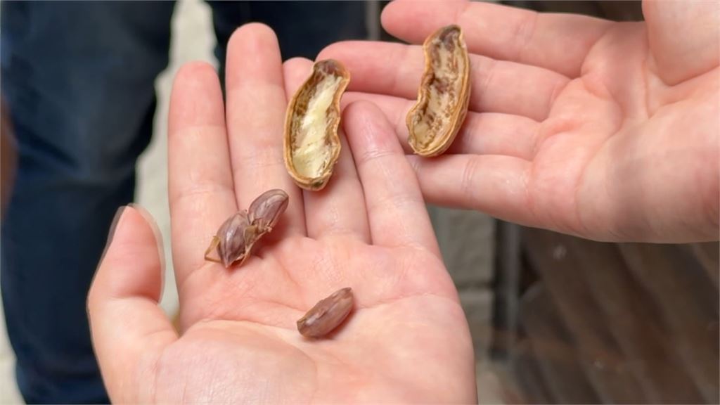 消費者控買到發霉花生　老闆出面駁：正常現象