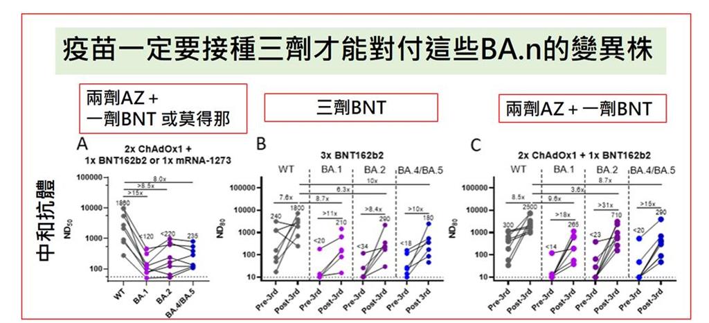 快新聞／BA.4、BA.5入侵台灣　何美鄉分析「這個狀況下」：不用特別封鎖邊境