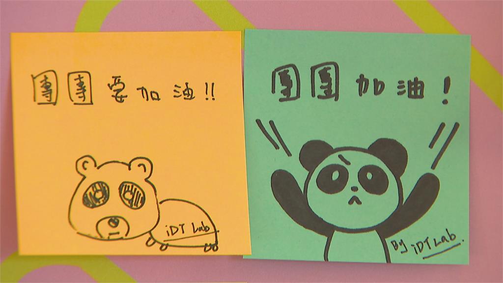 不樂觀!「團團」MRI結果出爐 疑似腦瘤採「舒緩照護」照顧中