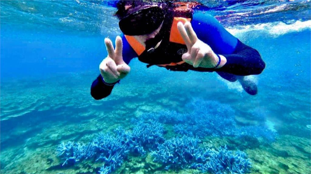 澎湖「海底薰衣草森林」　鹿角珊瑚覆蓋率大減