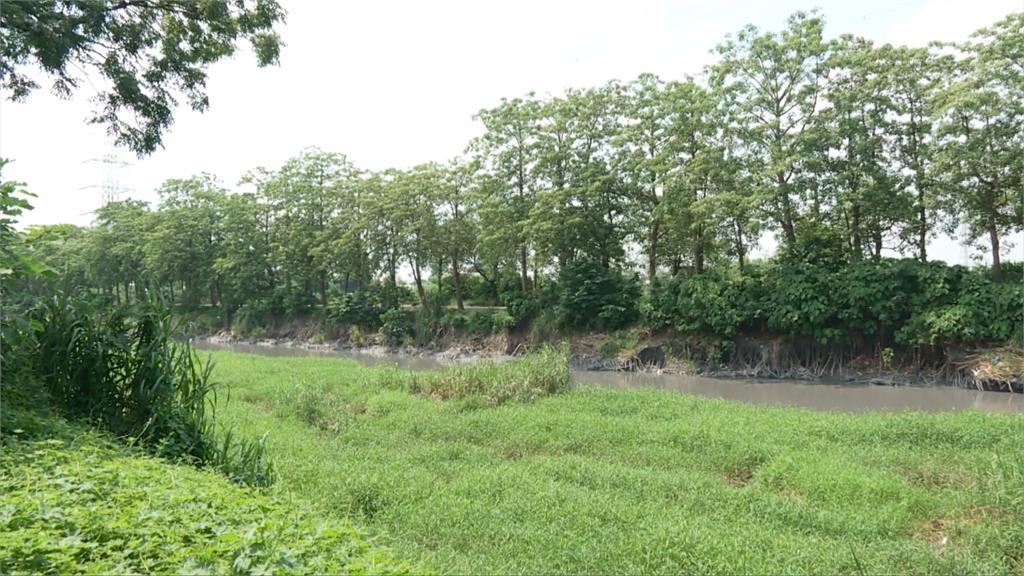 豪雨重創!彰化東螺溪綠色隧道 樹木根基裸露倒伏、路基淘空