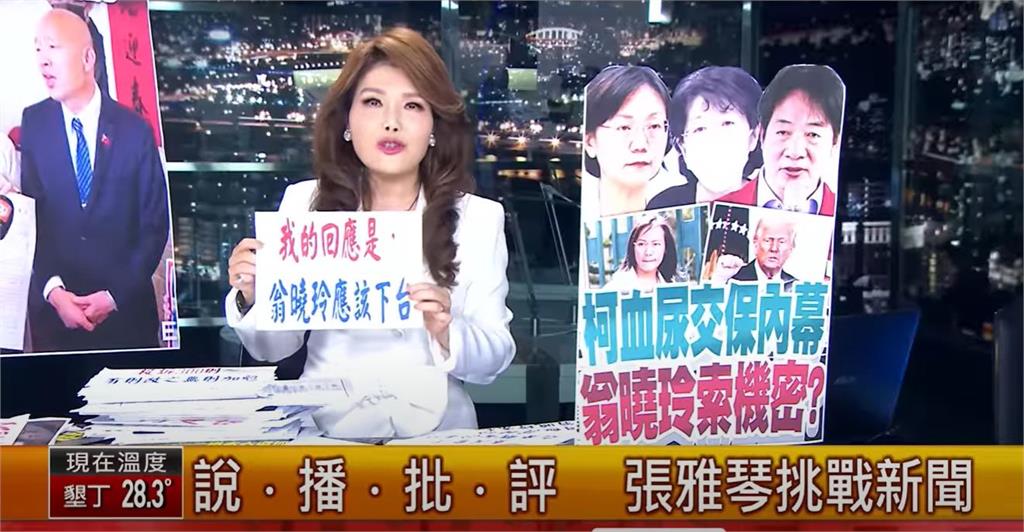 黃國昌嗆「綠營側翼」籲道歉!張雅琴批「荒唐1事」氣瘋:誰知你是哪顆蔥?