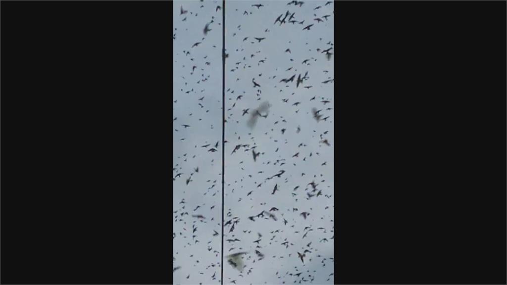 93閱兵前夕北京突降暴雨冰雹 網友嘲諷:老天都看不下去