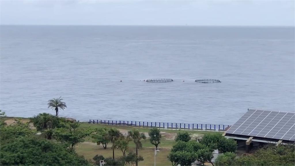 小琉球海域現「龐然大物」 竟是超過15米抹香鯨