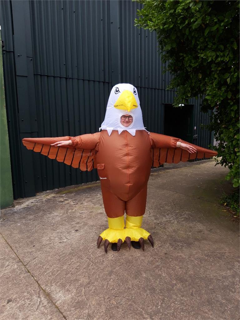 這隻巨鳥是工讀生！英國動物園徵「海鷗威攝俠」　首要條件恥力要夠
