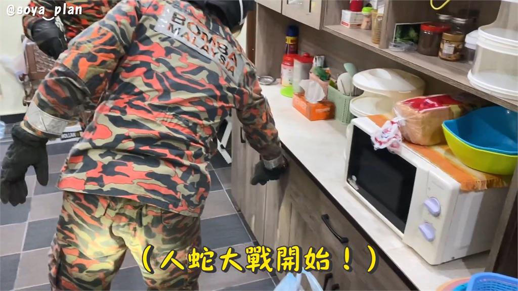 氣氛緊張!她驚傳家中有蛇出沒 急喊消防壯漢全副武裝展開人蛇大戰