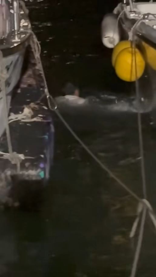 基隆碧砂漁港船隻翻覆有人落海 船長等眾人忙搶救