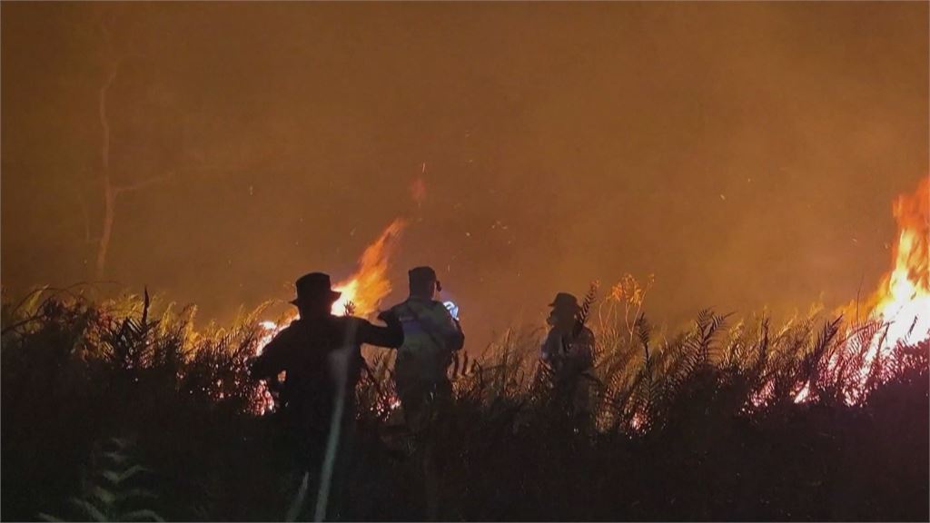 印尼野火霧霾飄鄰國! 新加坡F1照辦 馬來西亞多地停課