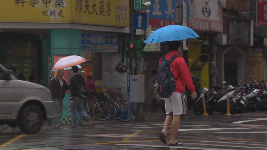 雨彈狂襲！基隆40公分落石砸車　宜蘭老樹應聲倒地