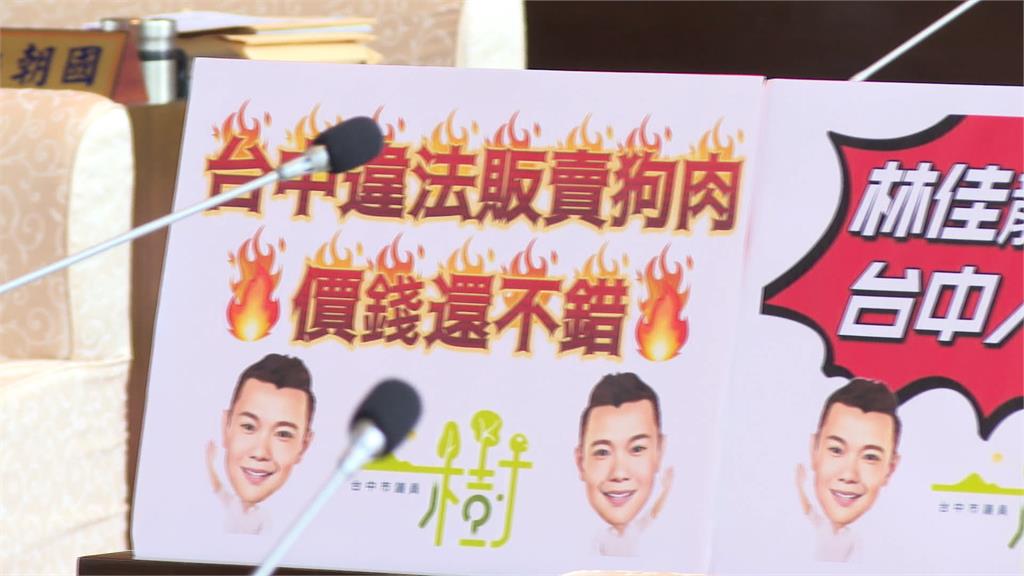 安眠藥誘殺?議員踢爆不法集團 疑似販賣「貓、狗還有石虎肉」