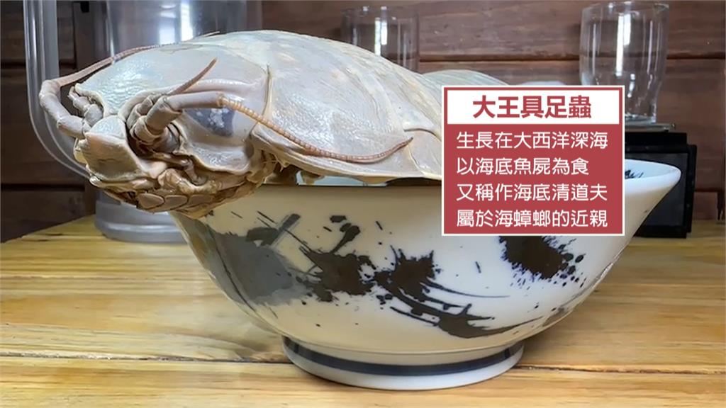挑戰「大王具足蟲拉麵」？　醫：對蝦蟹過敏嚴重恐休克