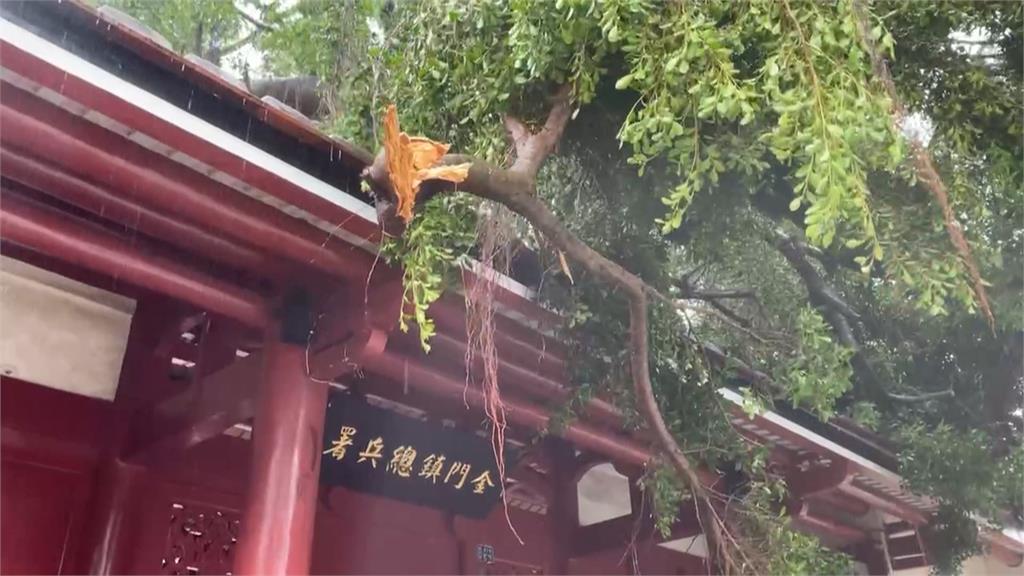 「杜蘇芮」強襲金門　路樹遭連根拔起！掀10米高巨浪