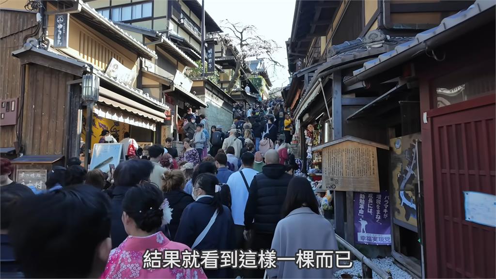 旅遊體驗極慘！台男前往京都遊玩　觀光客爆多無奈吐槽：是賞櫻還是賞人