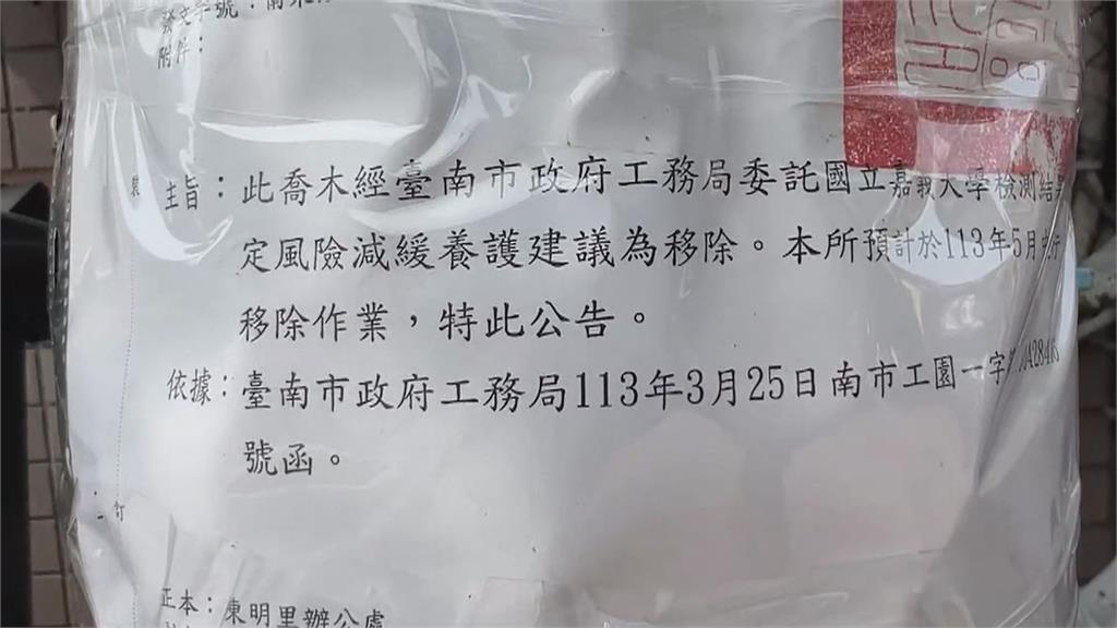 台南大南門古蹟公園老杉遭砍 7棵百年老樹無預警砍伐惹怒民團