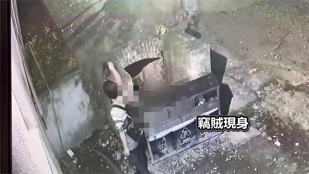腰包遺留樹下「好心人移顯眼處」 慣竊路過順手牽羊偷走現金