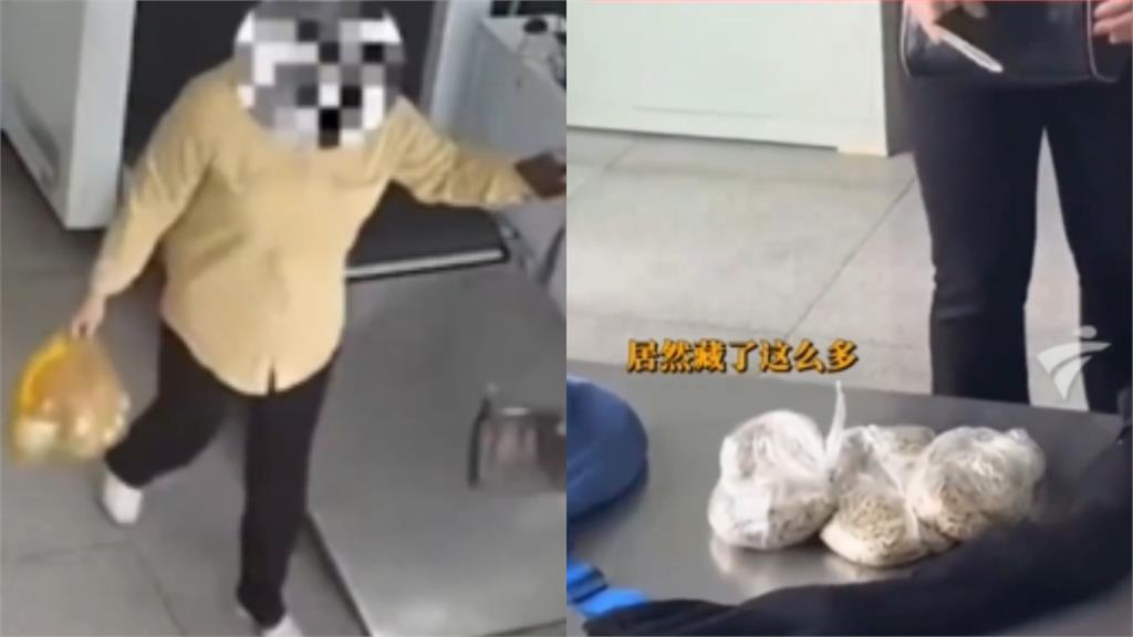 3女入境「下體鼓超大包」走路怪異!海關搜身驚見「滿滿一袋活蟲」還在蠕動