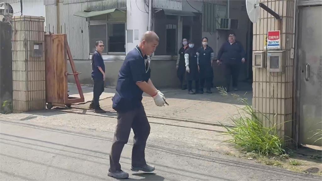 獨/「牠」誤觸高壓電害大停電 炸毛倖存被工廠收養意外成萌寵