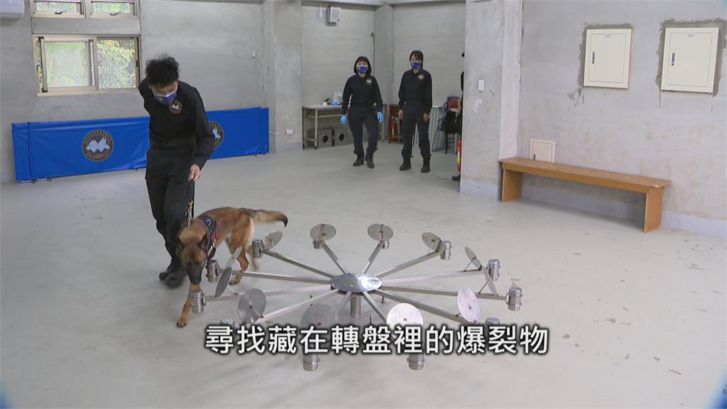 烏克蘭神犬嗅出90枚地雷　台灣也有Q萌「偵爆犬」