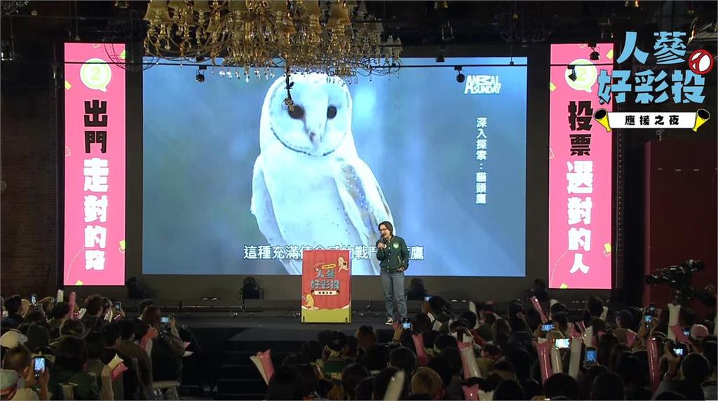 快新聞／「台灣戰貓」也懂「人類圖」！　蕭美琴：我是顯示生產者