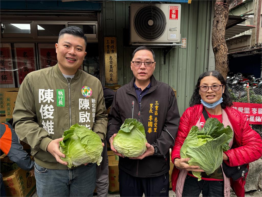 慈愛里最美風景、貓咪牆下領高麗菜
