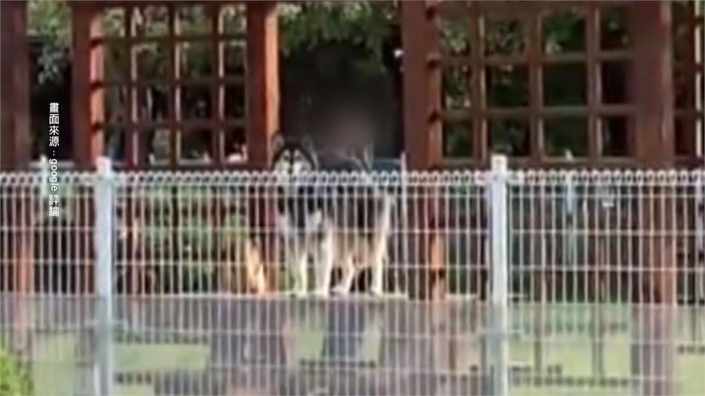 帶哈士奇闖「兔子公園」 飼主被勸阻反嗆:沒愛心