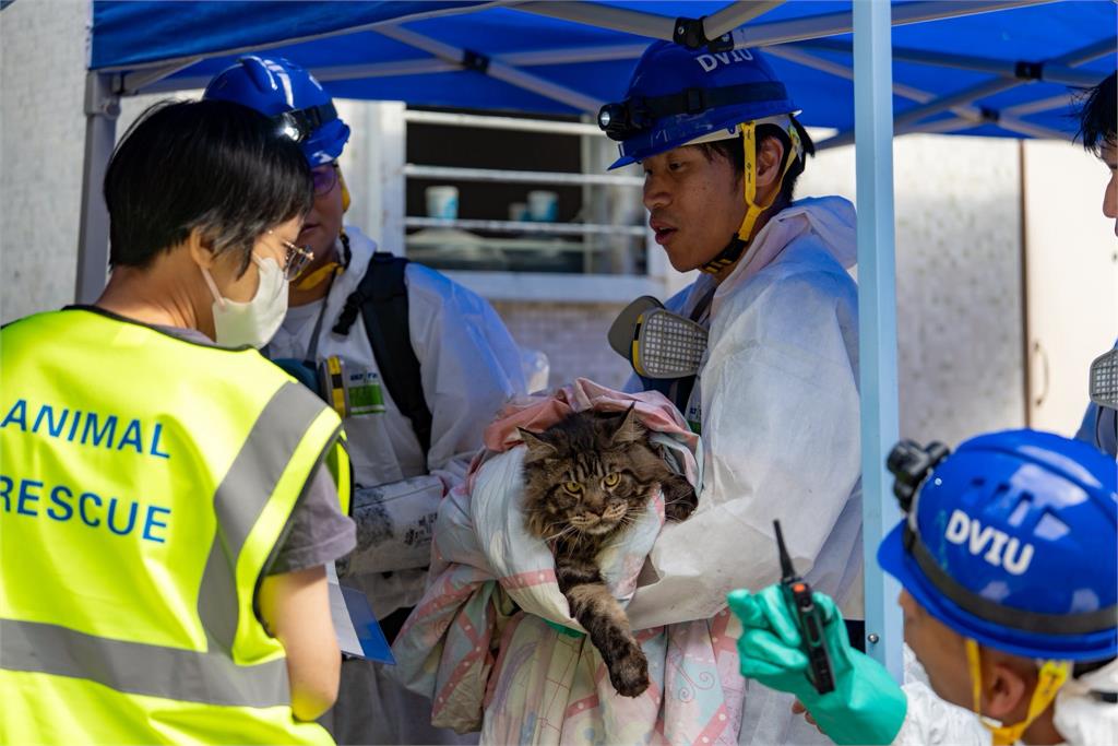 最新／香港宏福苑大火奪命增至146人　死亡人數恐持續攀升