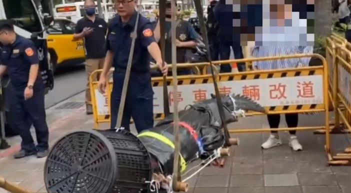 快新聞/嚇人!養殖業者竟「攜帶河口鱷」到立法院抗議 警方急派員抓鱷