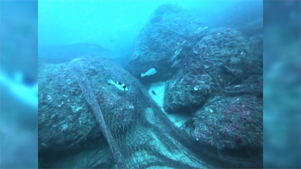 澎湖驚見「廢棄漁網」覆蓋一公里　水中生物難逃魔掌