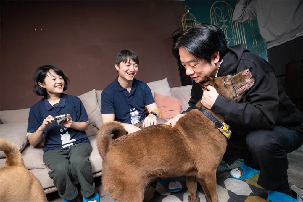 快新聞/斑斑、Murphy超幸福 賴清德親製「寵物年菜」陪毛孩迎新年