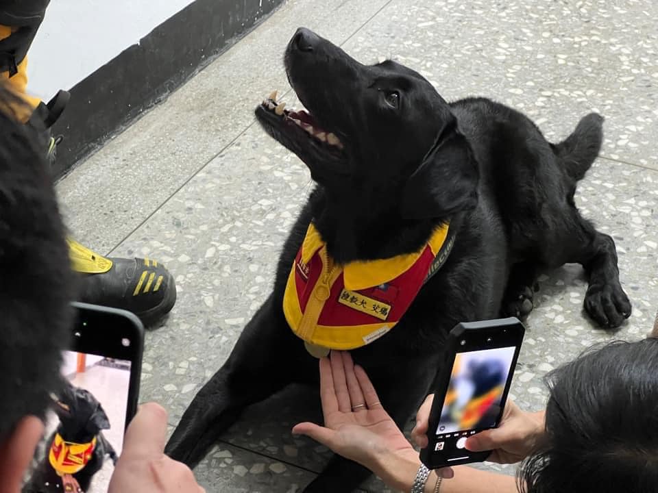 搜救犬待命「咬雞腿」挨批觀感不佳!她怒轟酸民:身為人類你救過誰?