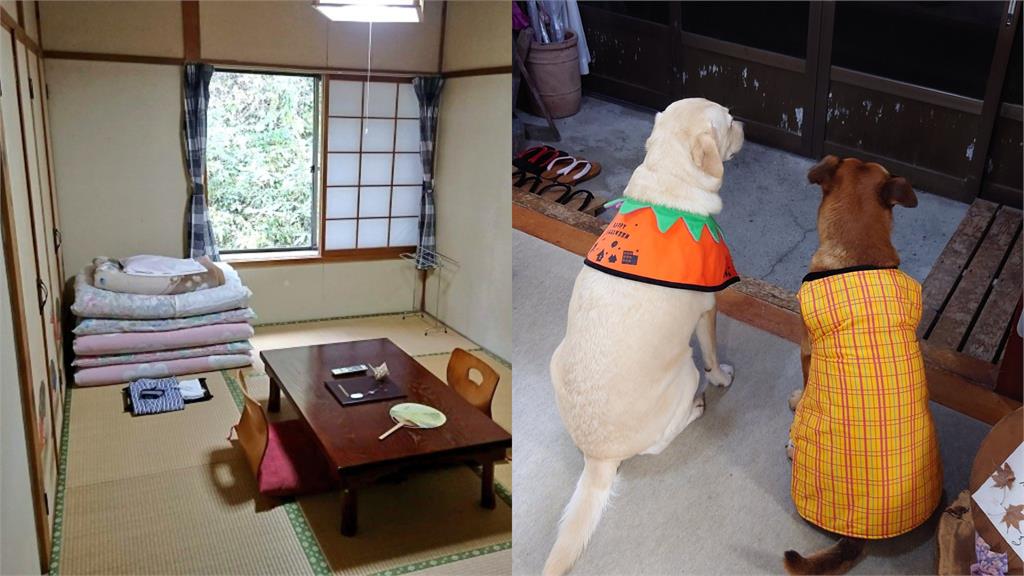 日本溫泉旅館「1泊2食超狂價格」曝光!網見「牠們」暖喊:拜託老闆漲價